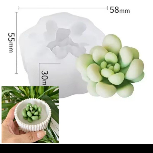 Producto - Molde de silicona suculenta 8K8