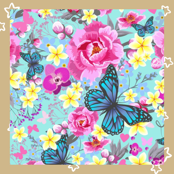 Producto - Celina