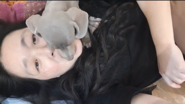 Producto - 001 Silver puppy Kiss (6 min)