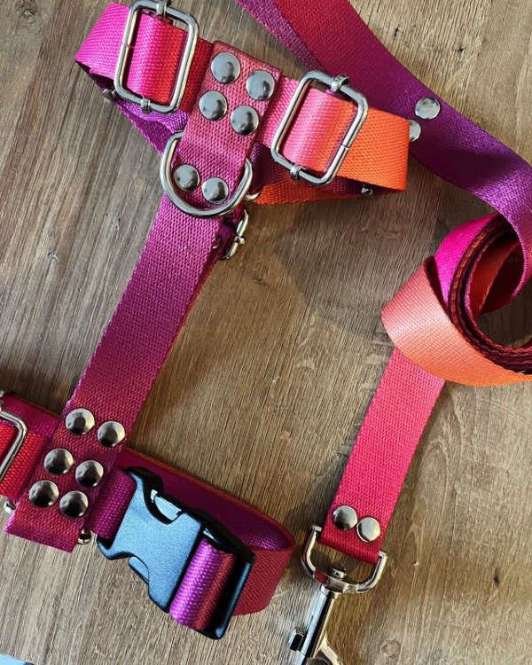 Producto - Pretal y correa AURORA