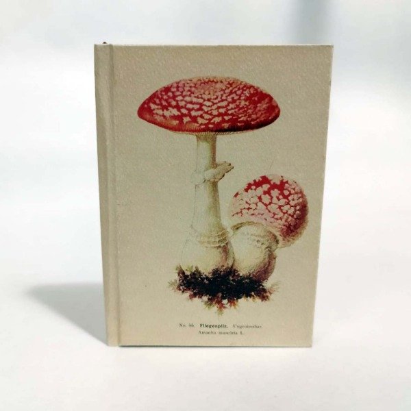 Producto - MINI COMPENDIOS HONGOS