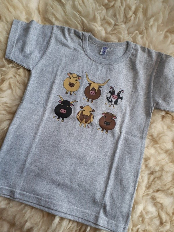 Producto - Remera estampada T 6
