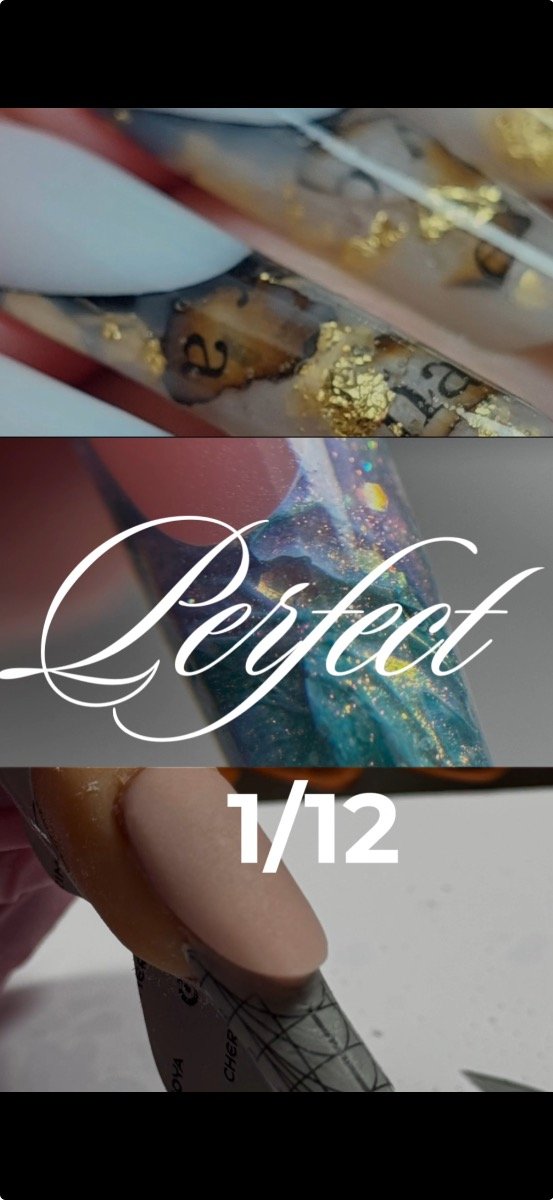 Producto - Perfect Reversas 1/12