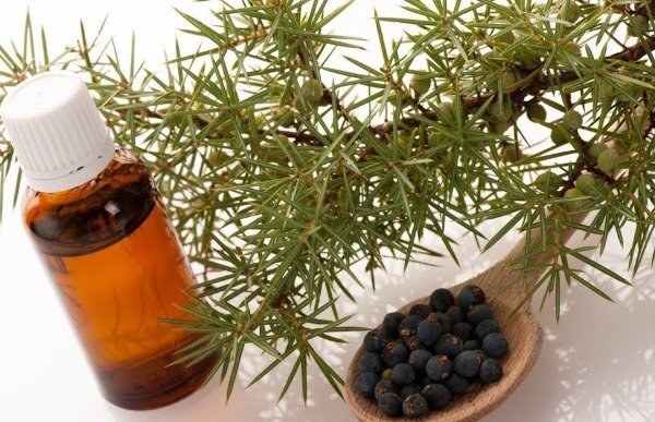 Producto - ACEITE ESENCIAL ENEBRO 15 ML