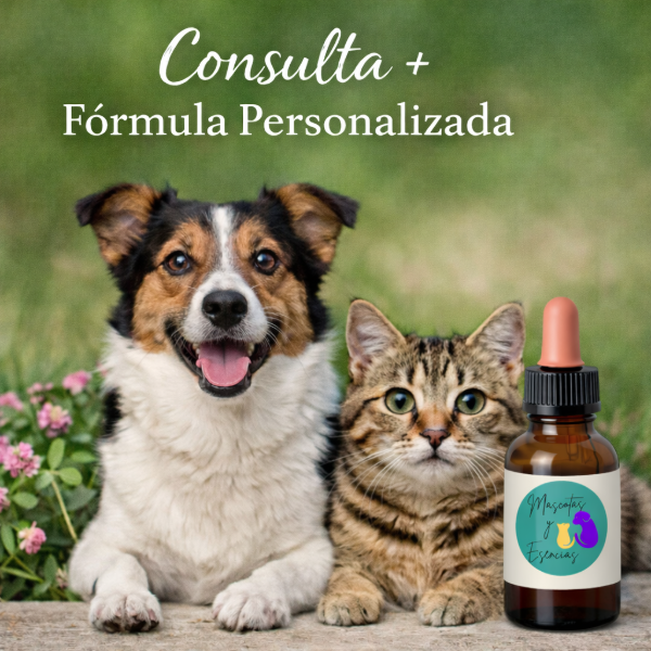 Producto - Consulta terapéutica floral + fórmula personalizada (30 ml)