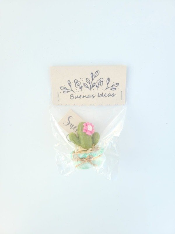Producto - Suculentas mini