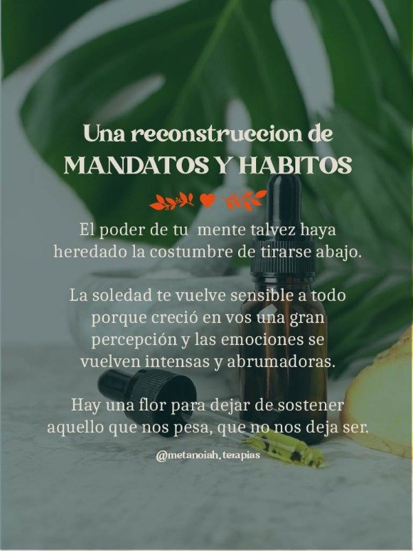 Producto - Terapia Floral con Flores de Bach - Sesión 1 a 1 - 3
