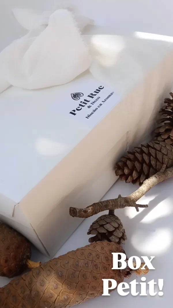 Producto - BOX PETIT PARA ALGUIEN ESPECIAL