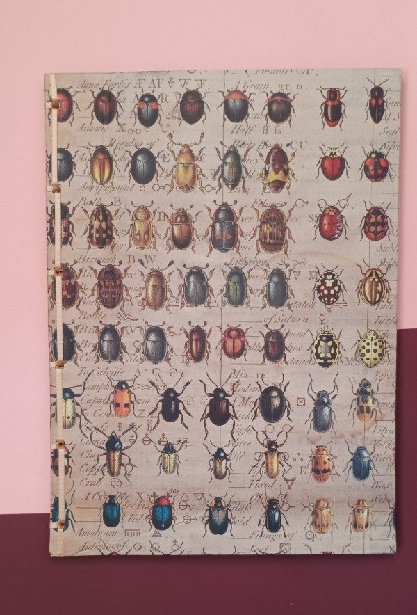 Producto - Cuaderno insectos