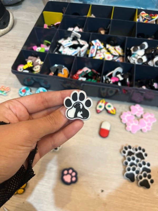 Producto - Pin de crocs Vete2
