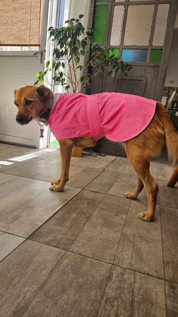 Miniatura de producto - 14