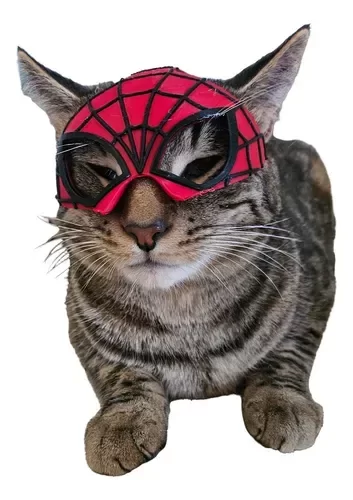 Producto - Spidercat