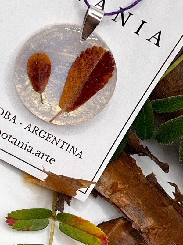 Producto - Hoja 1 Tabaquillo - 3
