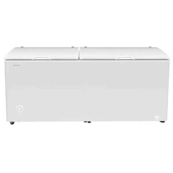 Producto - FREEZER BRIKET 700LTS