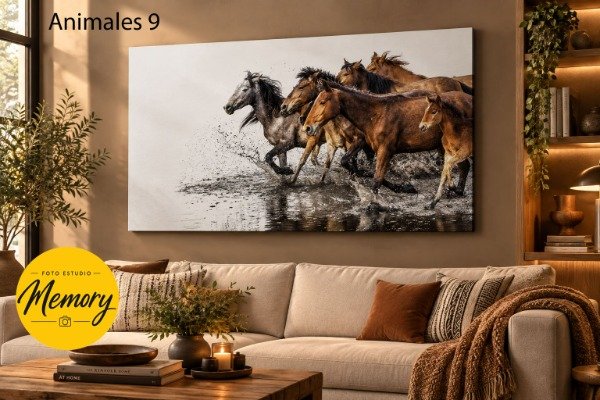 Producto - Cuadro Animales - Elegí tu diseño - 5