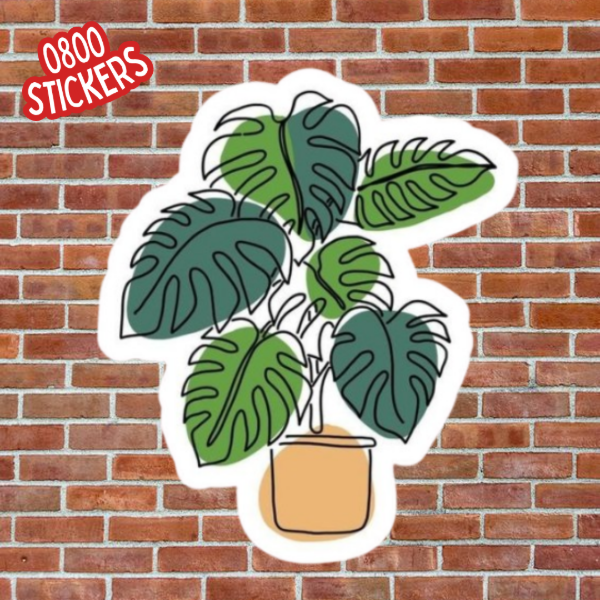 Producto - Monstera - planta - GV136