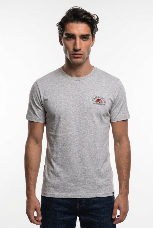 Producto - REMERA M/CORTA QUIKSILVER ALONE AT LAST GRIS - 0