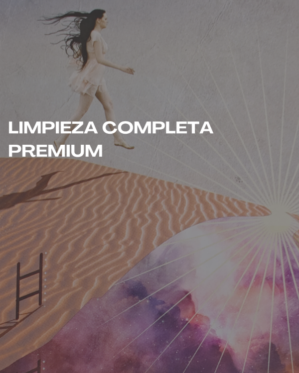 Producto - Limpieza completa Premium