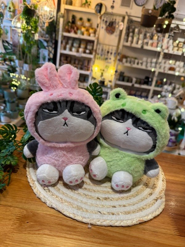Producto - Peluche Gato enojado 22 cm- cada uno (Efectivo: 17.200)