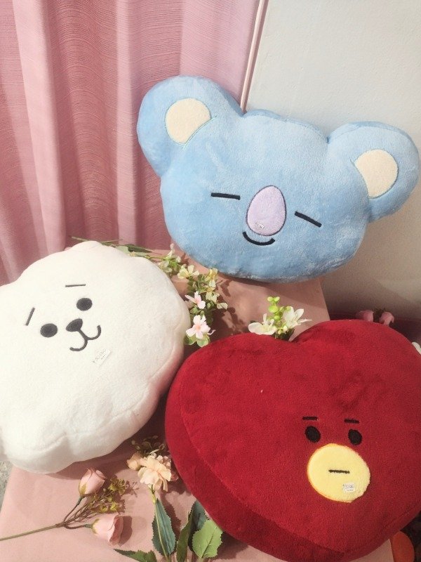 Producto - Almohadón bt21