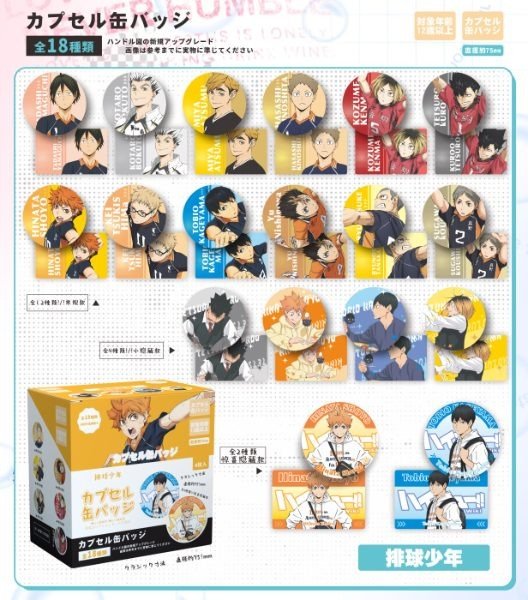 Producto - Pin Sorpresa Haikyu II