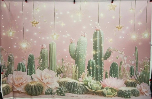 Producto - FONDO CACTUS NENA CON FALLA 200X150 NA 025