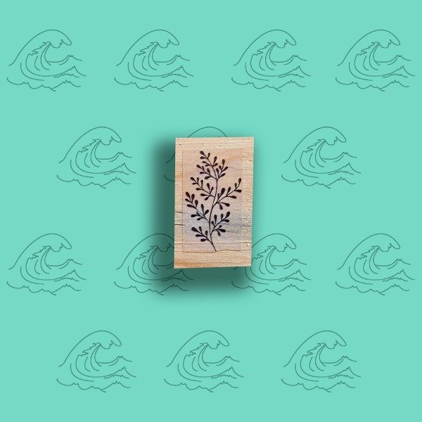 Producto - 3x2 Rama con hojas finitas