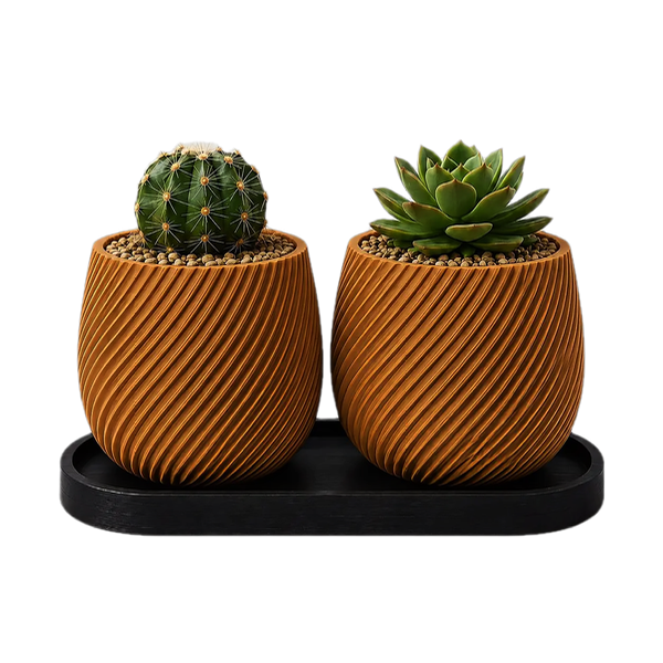 Producto - Set Macetas Gemelas con Bandeja - Ideal Cactus y Suculentas - 3