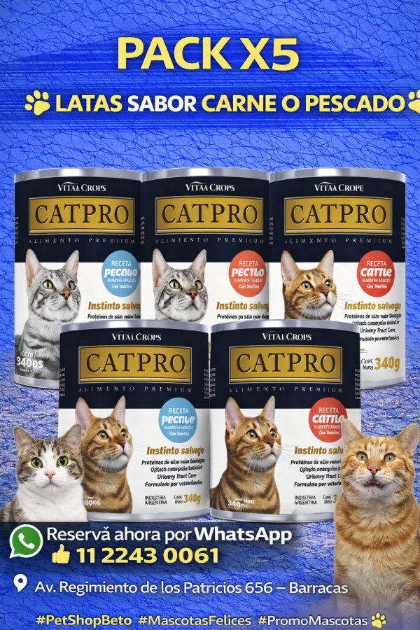 Producto - LATA ALIMENTO HUMEDO GATOS ADULTOS CARNE CAT PRO 340G Pack x 5