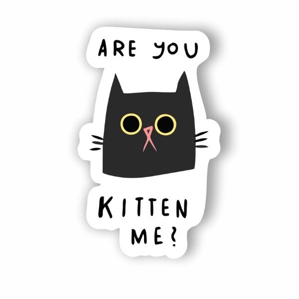 Producto - ST00011 Are you kitten me