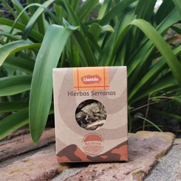 Producto - Llanten Raíz Serrana