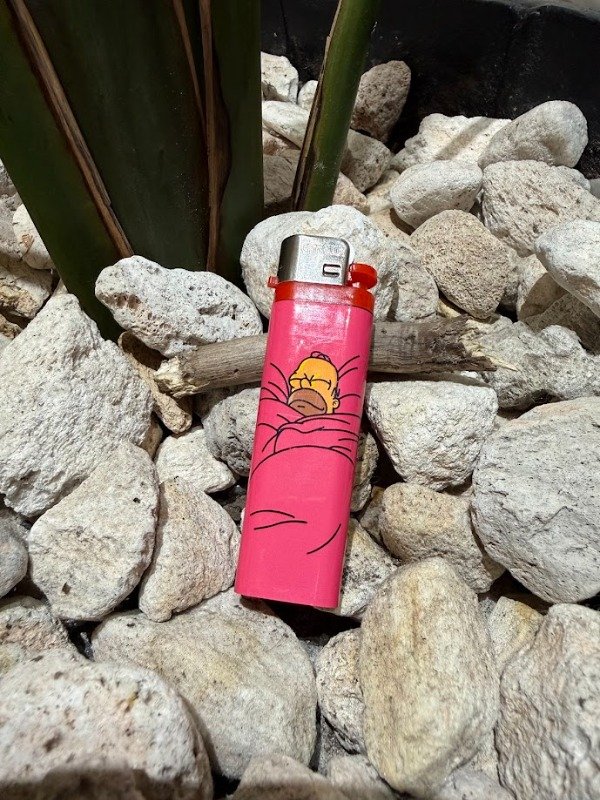 Producto - Encendedor Homero Rosa