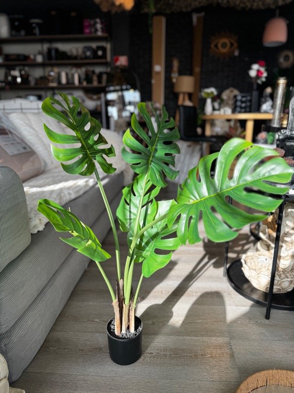 Producto - Planta Artificial Costilla de Adan 80 cm