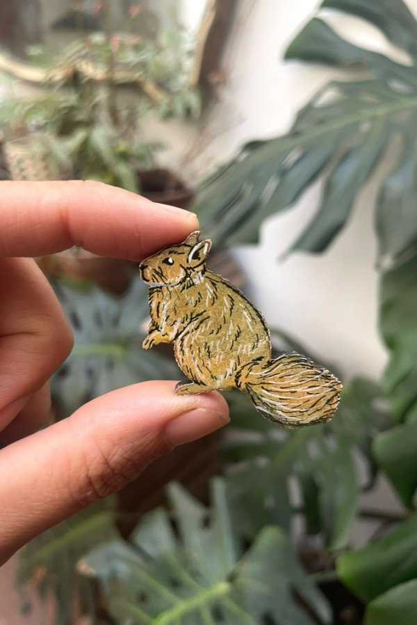 Producto - Chinchillón anaranjado (Lagidium wolffsohni)