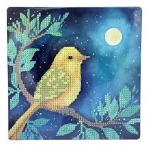 Producto - DIAMOND PAINTING 20X20 CARTON CANARIO
