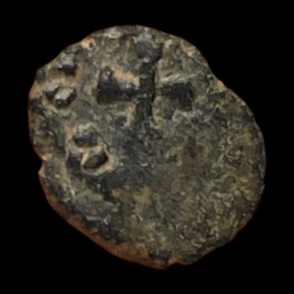 Producto - Reino Vándalo. Hilderico (523 - 530 DC) Numus. Ceca de Cartago