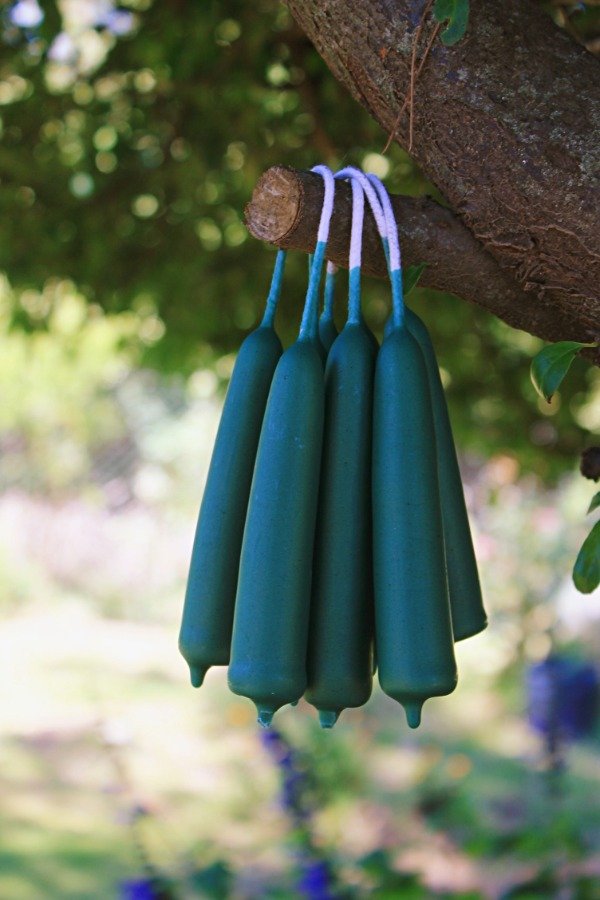 Producto - Velas Cera Abeja Verde, Corta