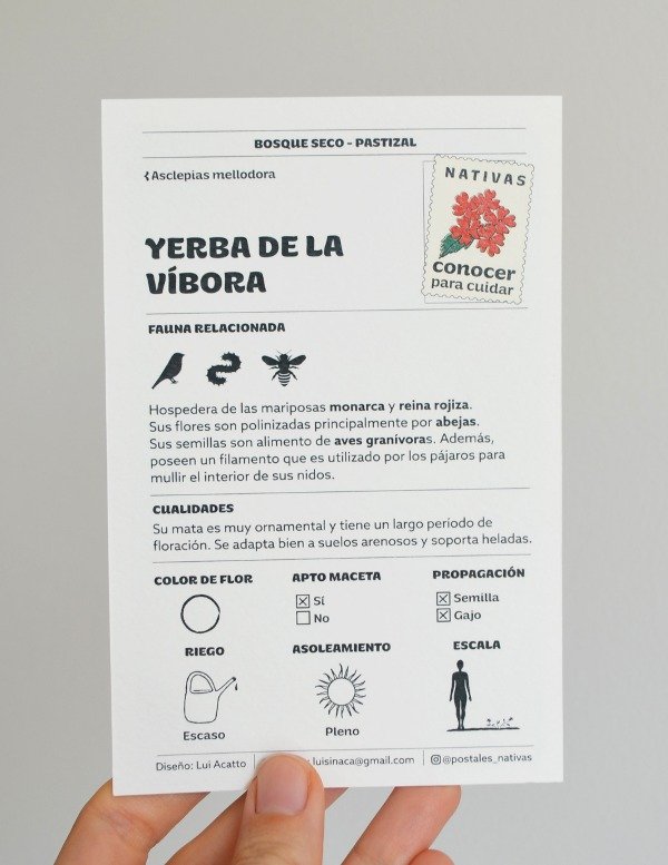 Producto - Postal - Yerba de la víbora - 1