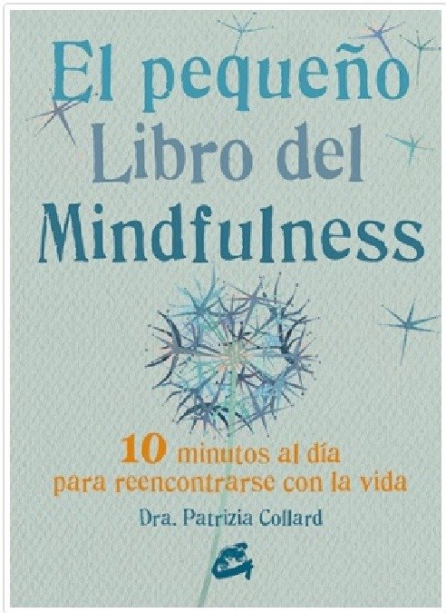 Producto - PEQUEÑO LIBRO DEL MINDFULNESS