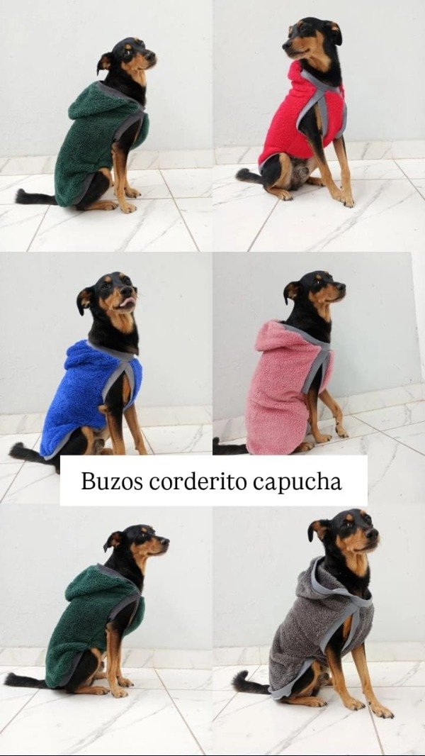 Producto - buzo de corderito talle 4