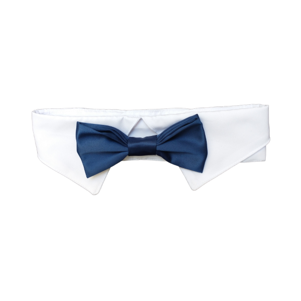 Producto - Cuello y Moño Burgues Azul