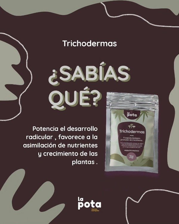 Producto - Fungicida Biológico Trichodermas La Pota x 20 gramos - 1
