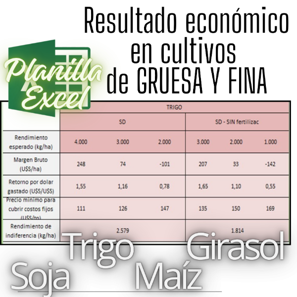 Producto - Planilla Excel de resultado económico en cultivos de GRUESA Y FINA