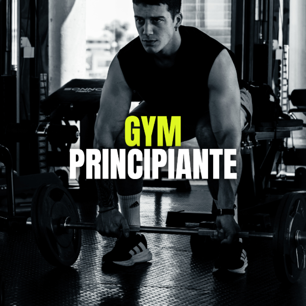 Producto - PLAN ENTRENAMIENTO GYM (PRINCIPIANTE)
