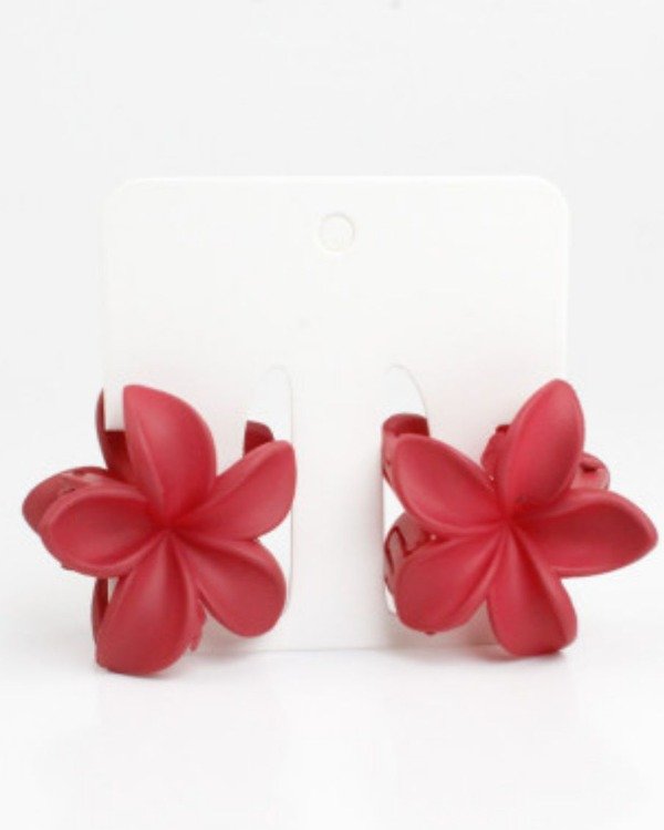Producto - Broche Monic