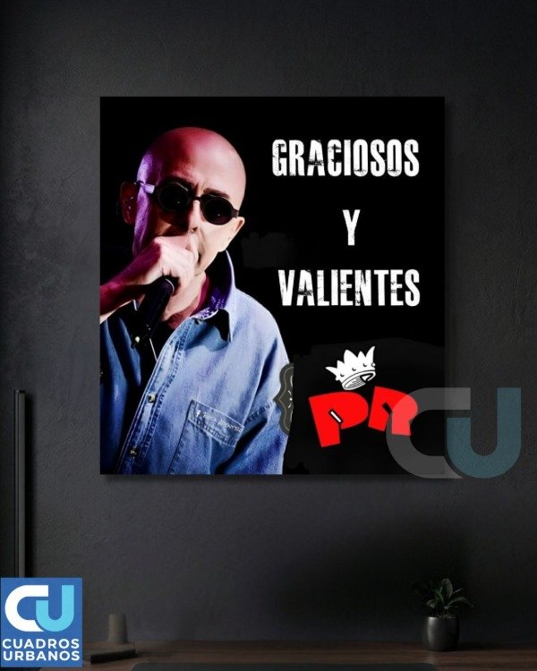 Producto - Indio Solari 46