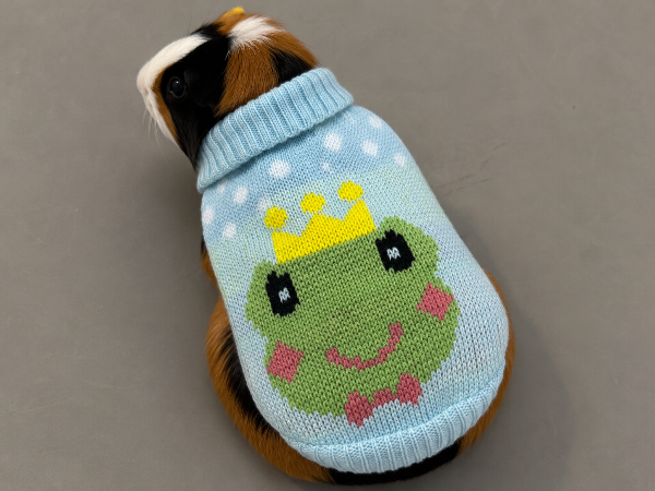 Producto - Ponchito tejido rana