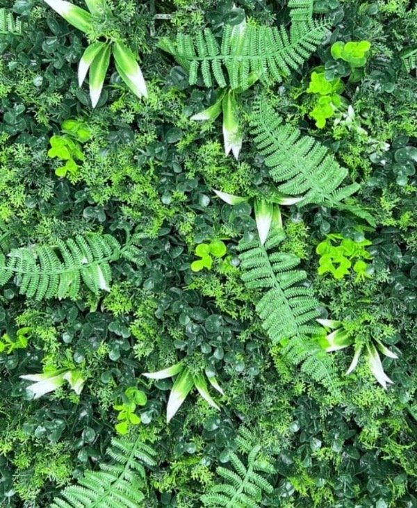 Producto - Jardin Vertical Selva Misionera