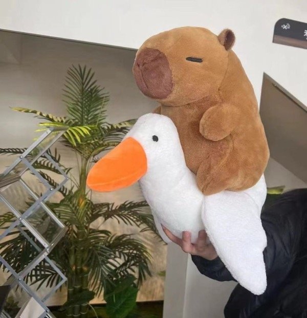 Producto - CAPIBARA CON PATO ESTIRA