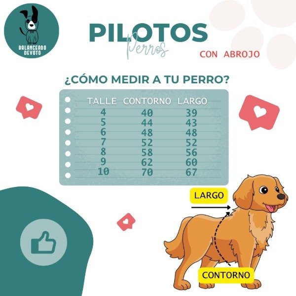 Miniatura de producto - 6